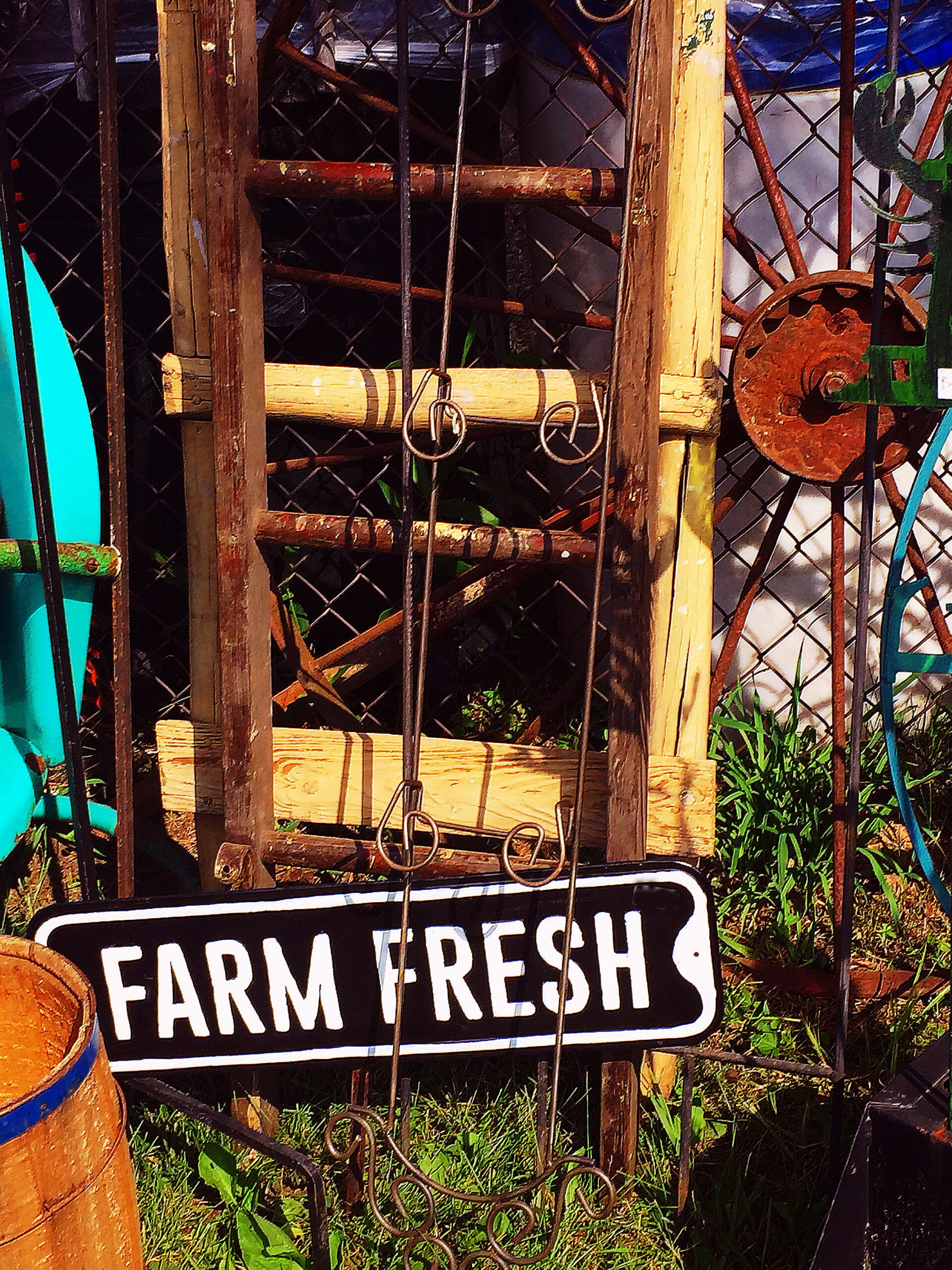201908_bf_Farm Fresh