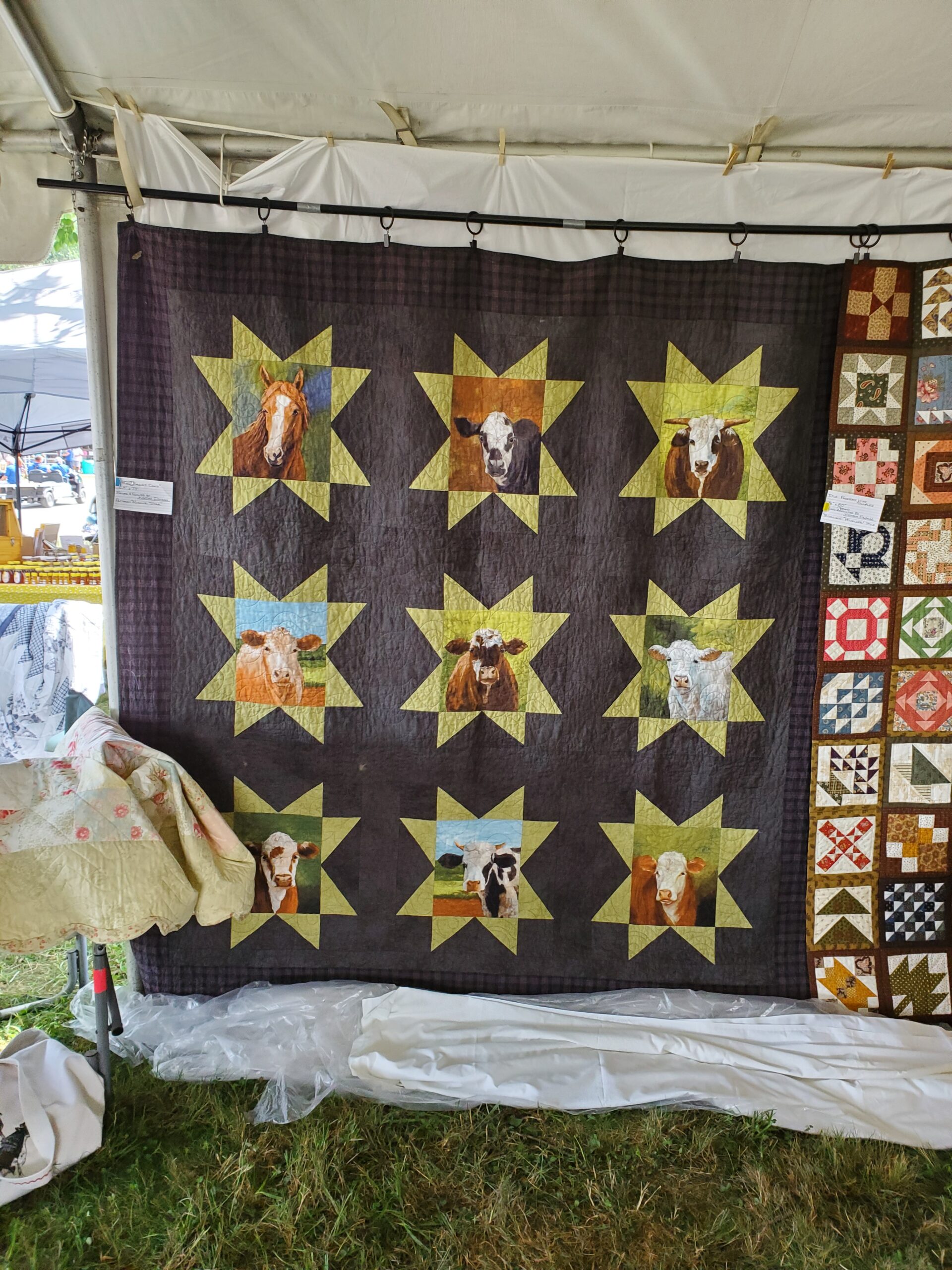 201908_bf_Kathy_s Cow Quilt