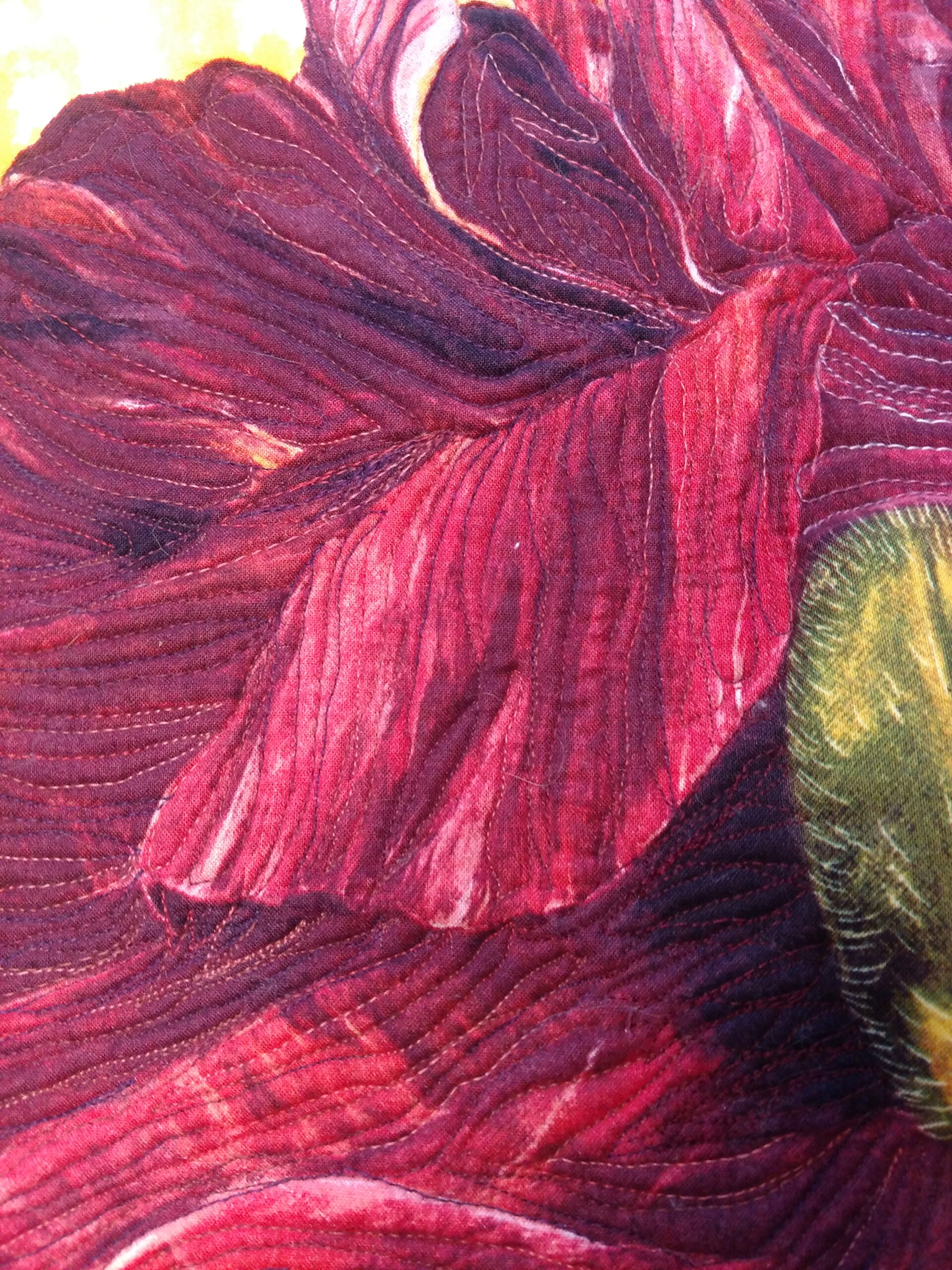 202011_gm_Cynthia FLower ShownTell CloseUp