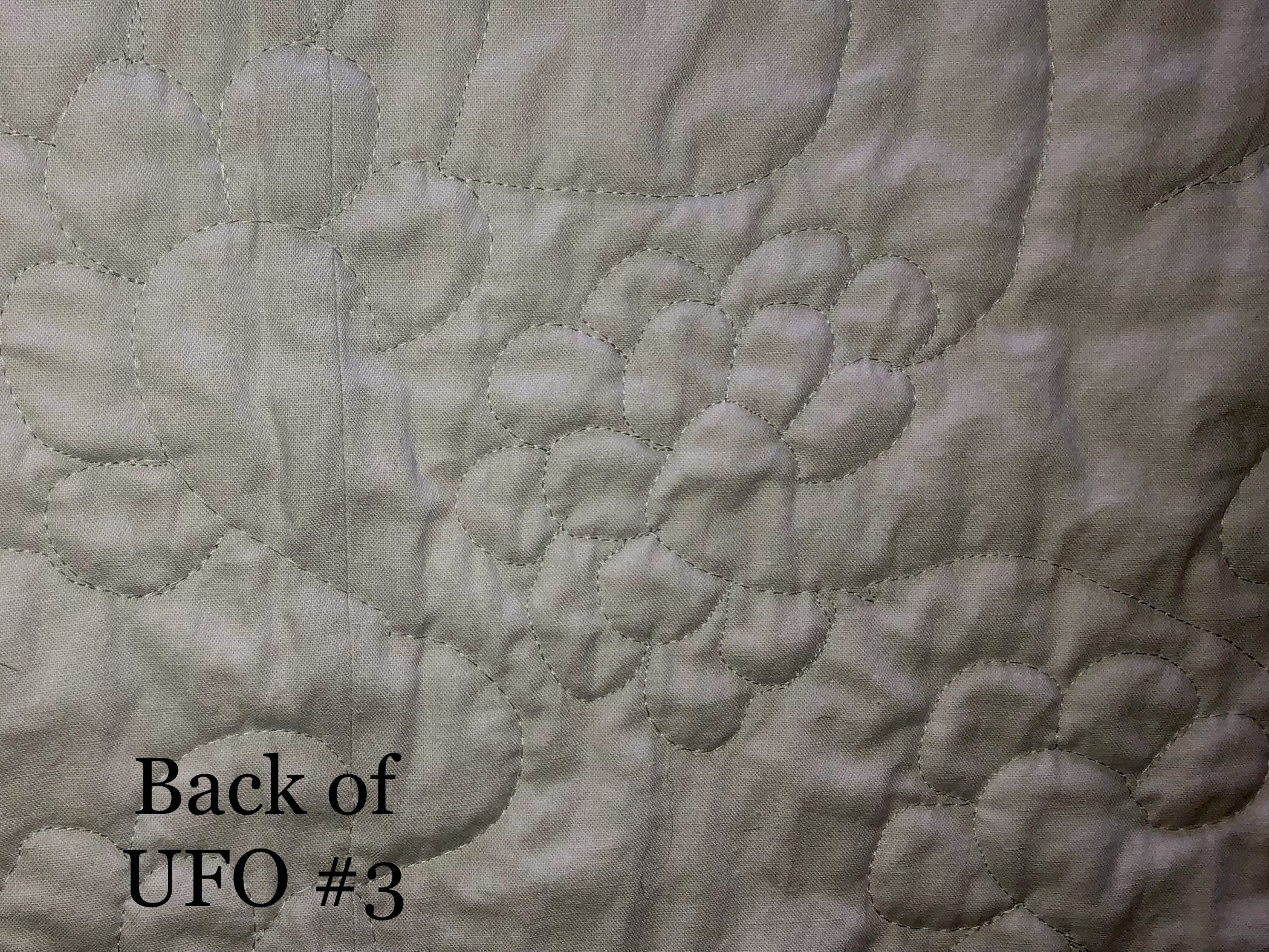 202102_st_UFO Cindy J 1 Front